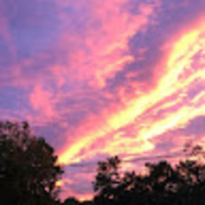 Meet your Posher, Dave